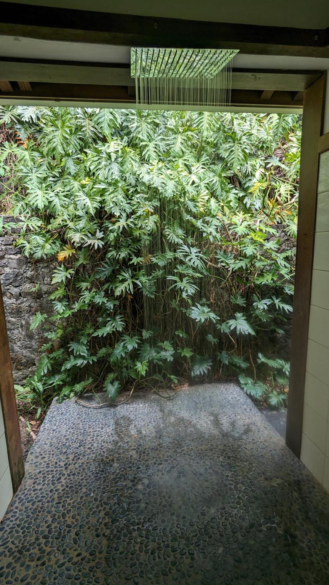 Ecolodges Karet Deshaies Extérieur photo