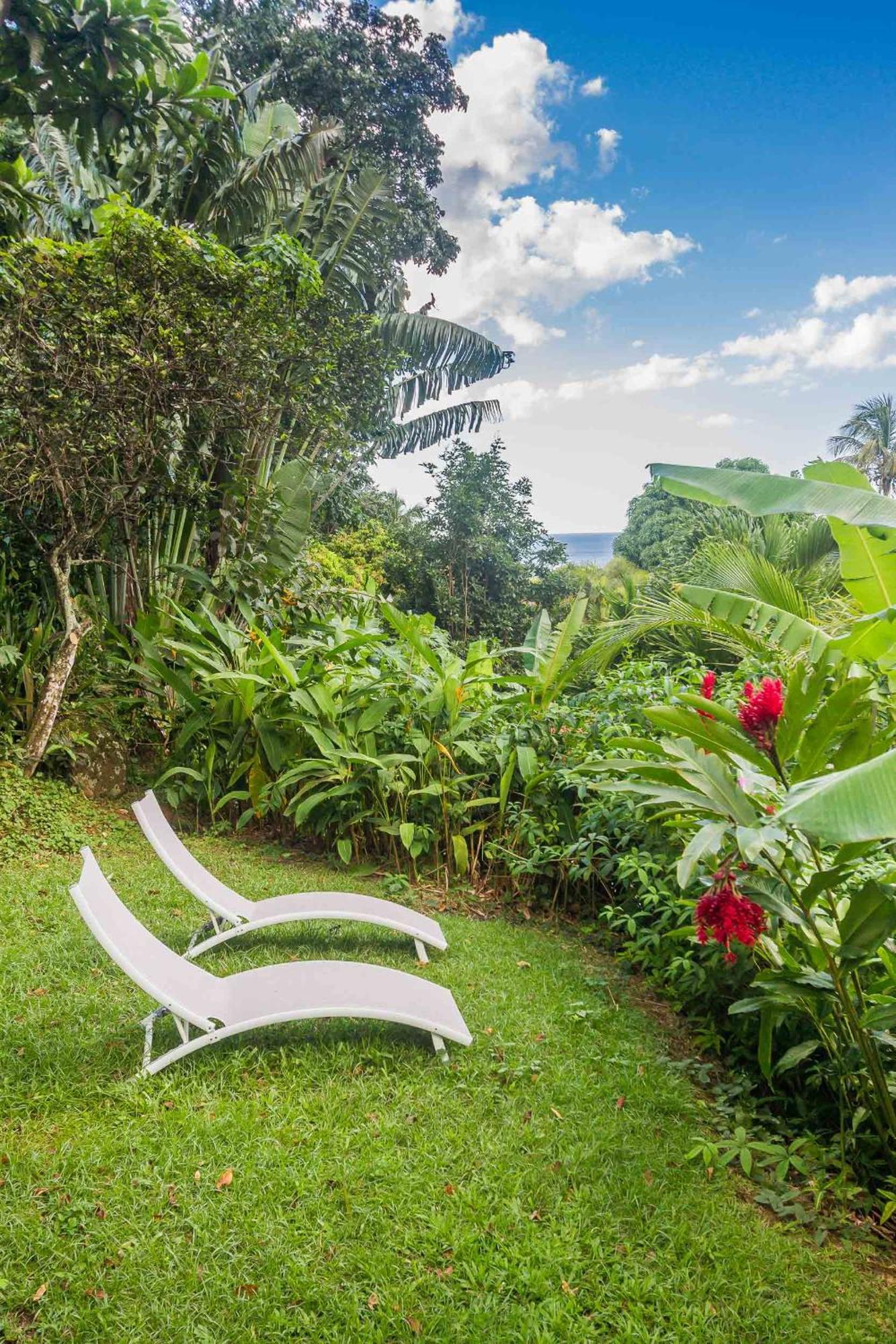 Ecolodges Karet Deshaies Extérieur photo
